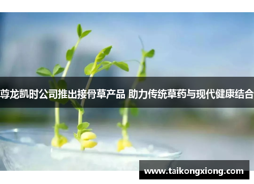 尊龙凯时公司推出接骨草产品 助力传统草药与现代健康结合