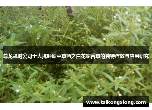 尊龙凯时公司十大抗肿瘤中草药之白花蛇舌草的独特疗效与应用研究