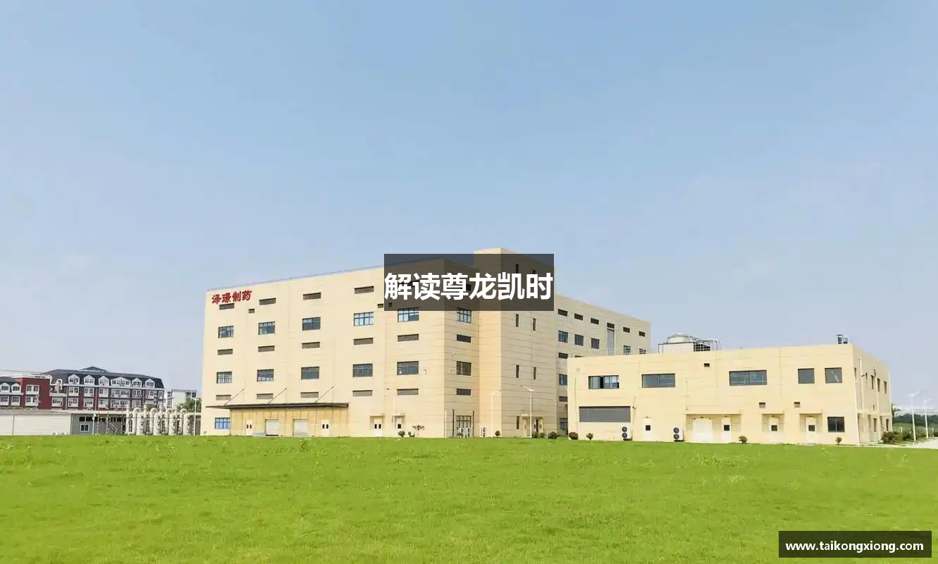 解读尊龙凯时